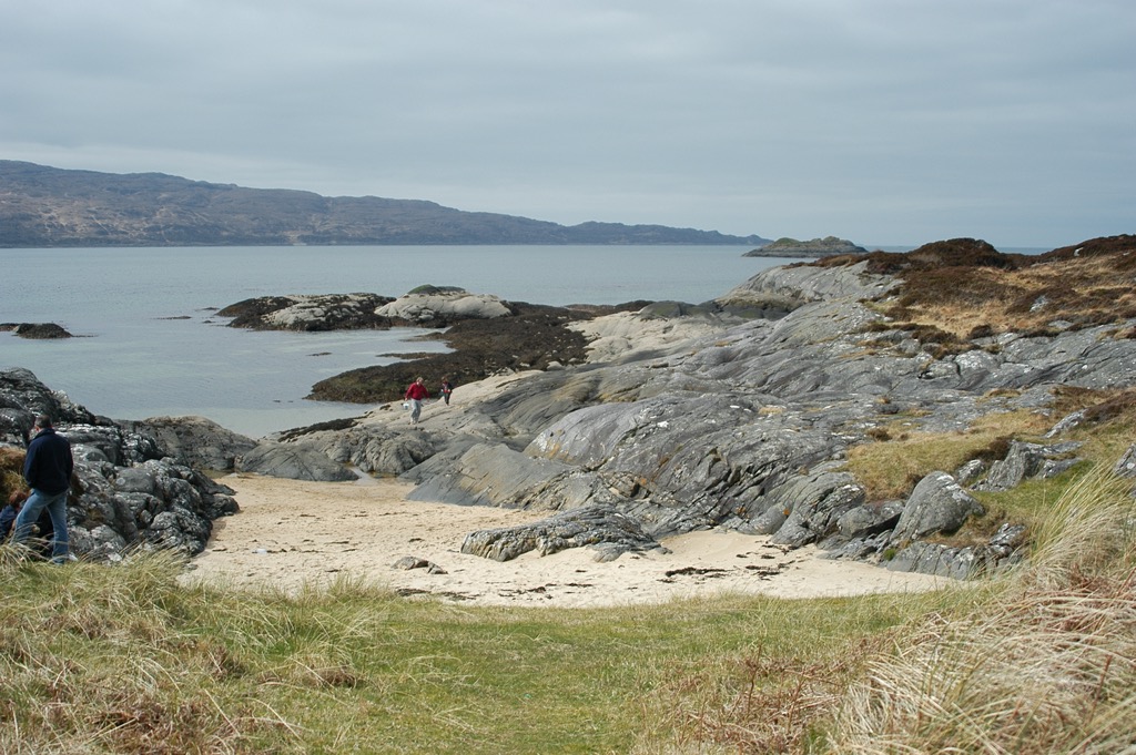 DSC_0319.JPG