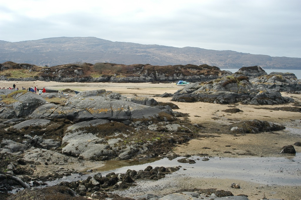 DSC_0309.JPG