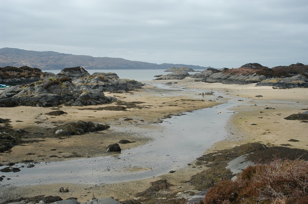 DSC_0310.JPG