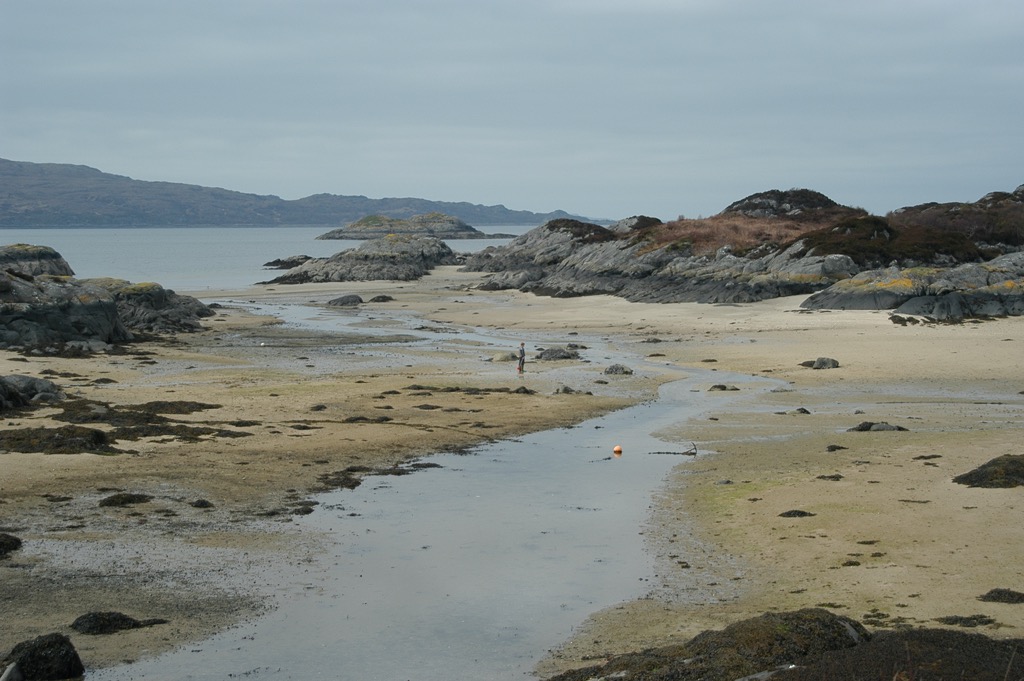 DSC_0311.JPG