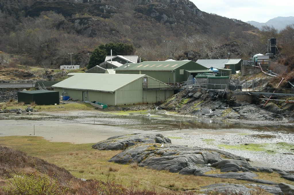 DSC_0313.JPG