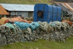 DSC_0243.JPG