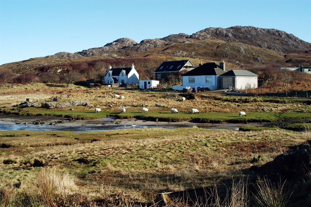 DSC_1676.JPG